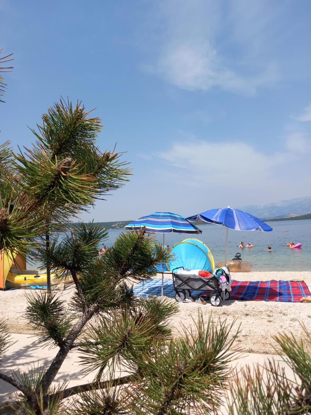 Karin Apartmani Hani Gornji Karin Dış mekan fotoğraf