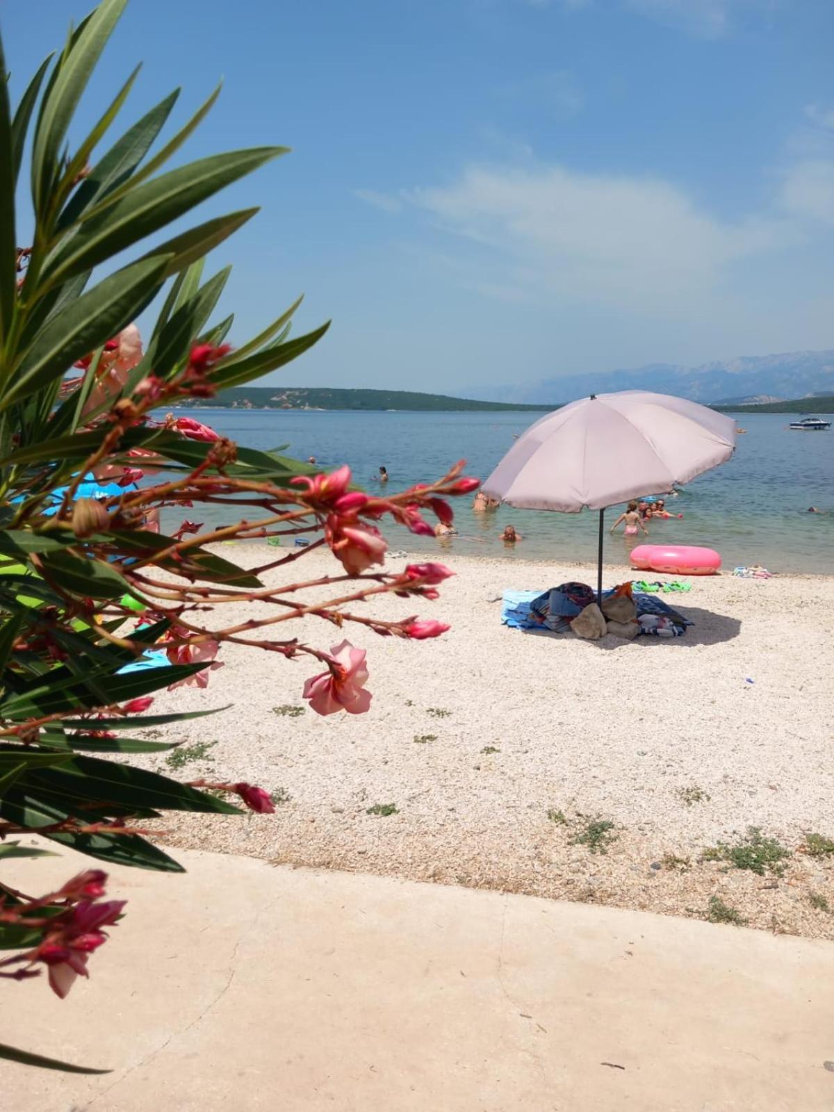 Karin Apartmani Hani Gornji Karin Dış mekan fotoğraf