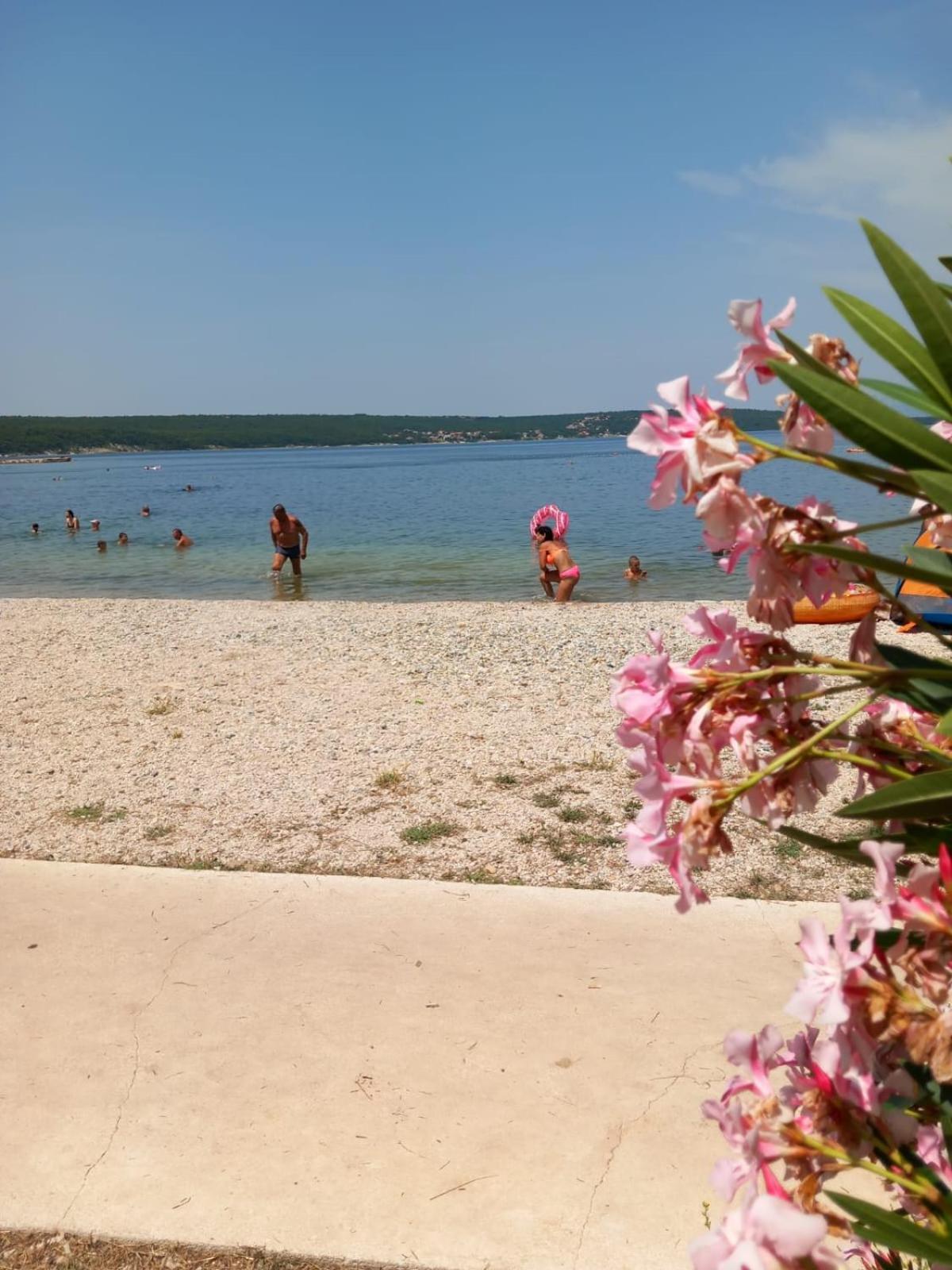 Karin Apartmani Hani Gornji Karin Dış mekan fotoğraf